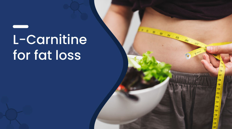 L carnitine for weight loss