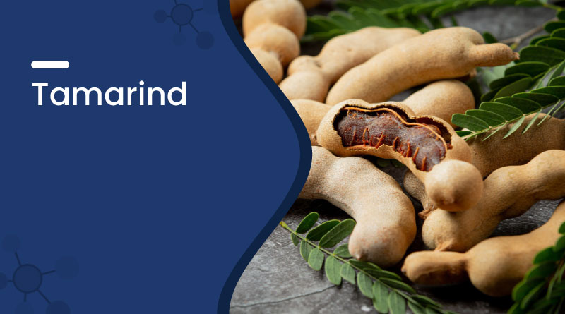 Tamarind Benefits, Uses & Nutrition Facts