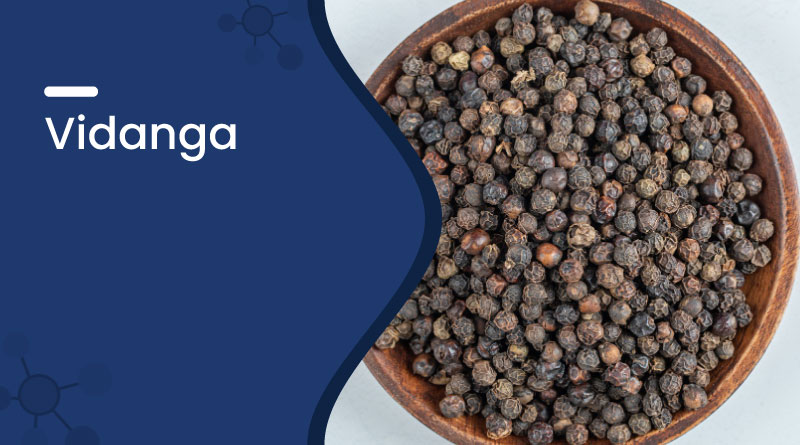 Vidanga (False Black Pepper) Benefits, Uses & Side Effects