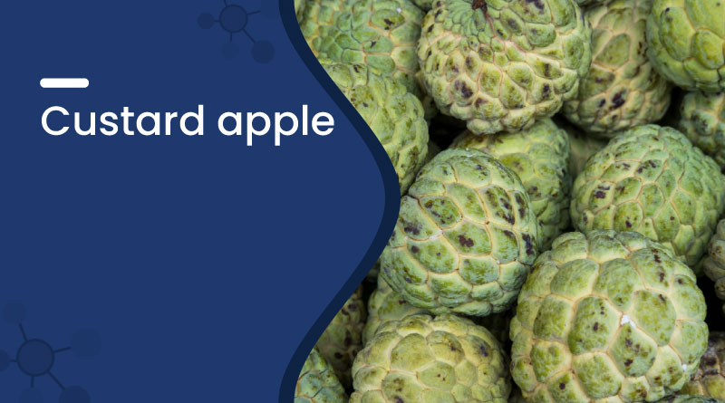 Custard Apple Benefits, Nutrition & Uses