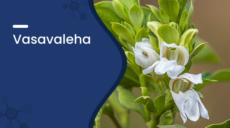 Vasavaleha Benefits & Uses &ndash; Ayurvedic Relief for Cough & Asthma