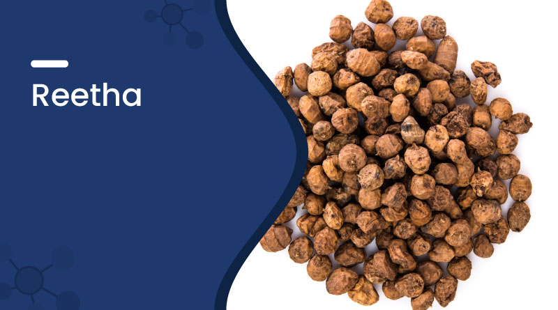 Image of Reetha (Soapnut) for hair growth