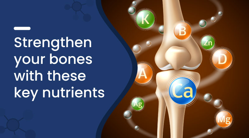 Image of Best Nutrients for Bone Health